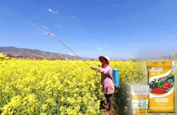 HUMICO - What Does Nitrogen Do for Plant Growth and Why Is It Important Rapeseed