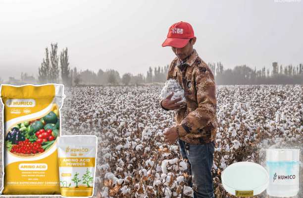 Humico - Copper Function of the Nutrient in Plants Growth and Health, Cotton
