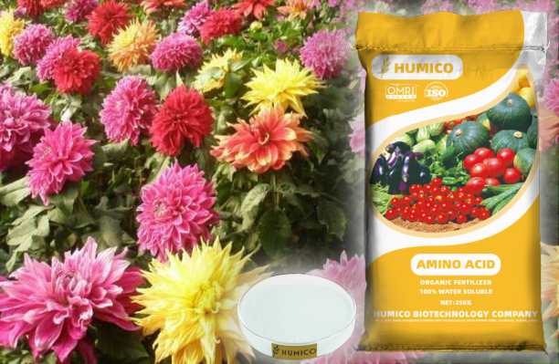 Humico - Copper Function of the Nutrient in Plants Growth and Health, Dahlias