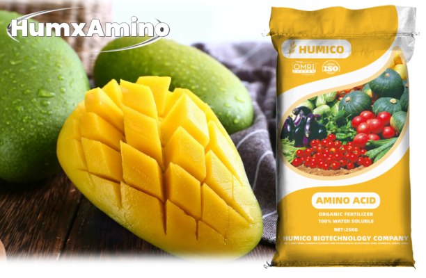 Humico - What is The Best Fertilizer For Mango Trees A Comprehensive Guide