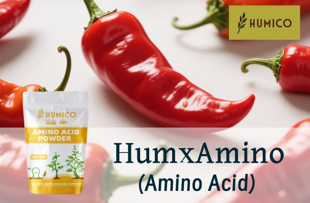 What is The Best Fertilizer for Pepper Plants Essential Nutrients and Practices
