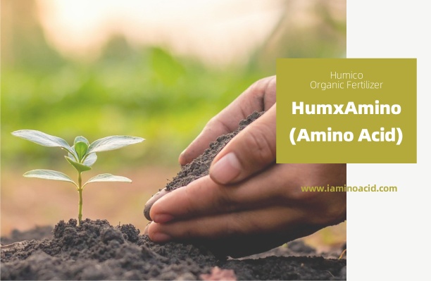 Humico HumxAmino - What is The Best Fertilizer for Shrubs When and How to Fertilize Shrubs - iaminoacid.com