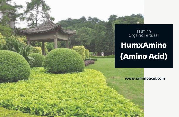HumxAmino - What is The Best Fertilizer for Shrubs When and How to Fertilize Shrubs - iaminoacid.com